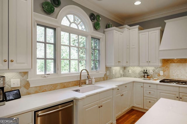 kitchen with sink, ornamental molding, white cabinetry, custom exhaust hood, and appliances with stainless steel finishes