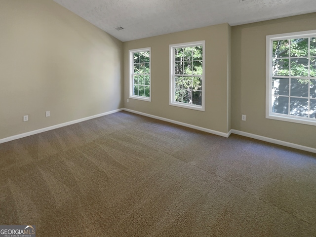 unfurnished room featuring carpet flooring and a textured ceiling