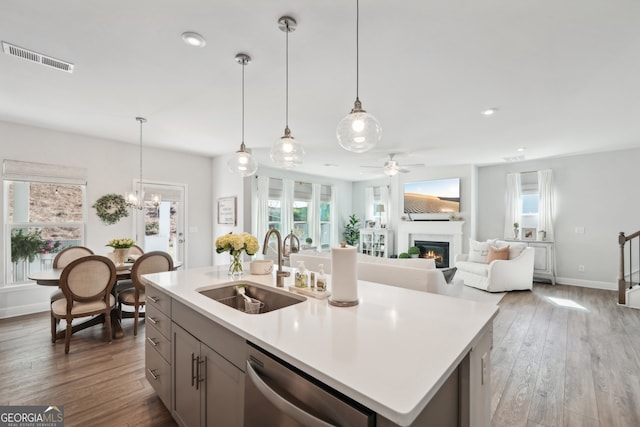 kitchen with stainless steel dishwasher, a healthy amount of sunlight, sink, and hardwood / wood-style flooring