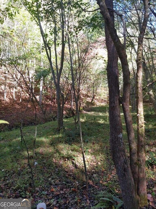 Listing photo 2 for 0 Kaleb Trl, Mineral Bluff GA 30559