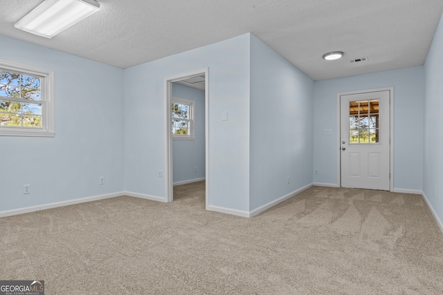 foyer featuring light colored carpet, a textured ceiling, and a wealth of natural light