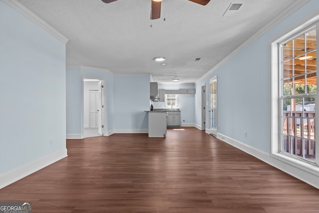 unfurnished living room featuring dark wood-type flooring, a wealth of natural light, and a textured ceiling