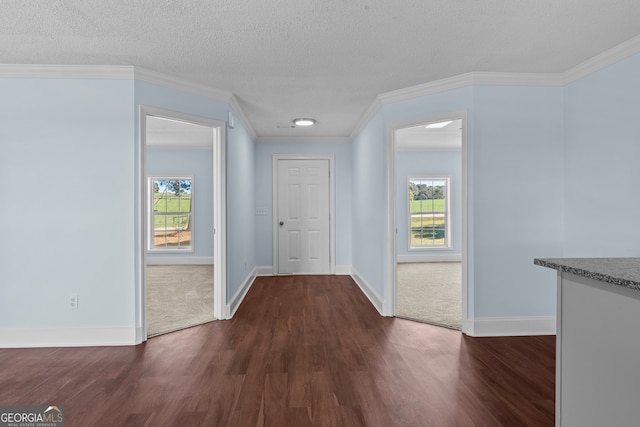 corridor featuring plenty of natural light, dark hardwood / wood-style floors, and a textured ceiling