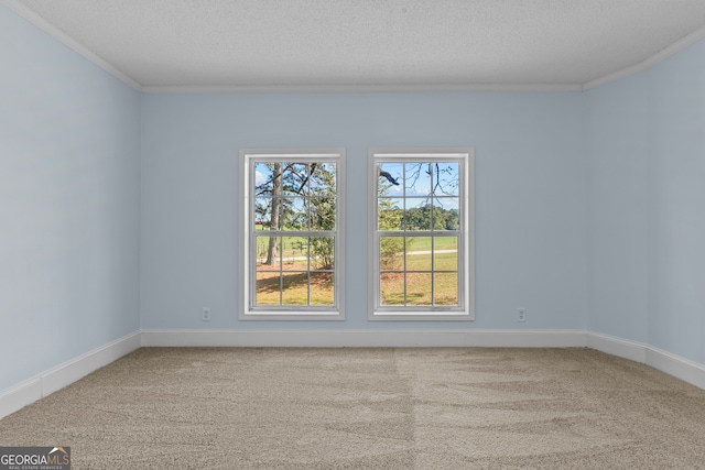 empty room with ornamental molding, carpet floors, and a textured ceiling