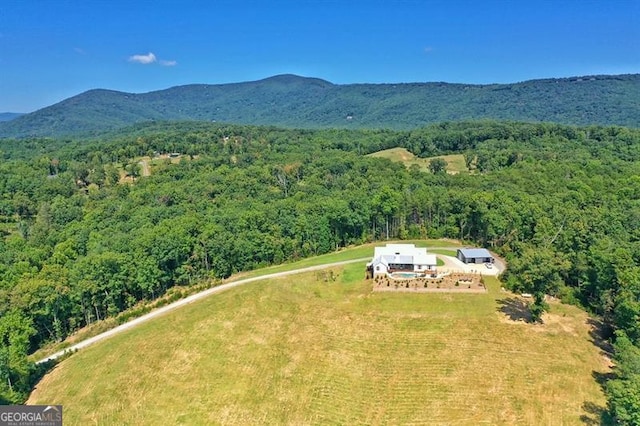 birds eye view of property featuring a mountain view