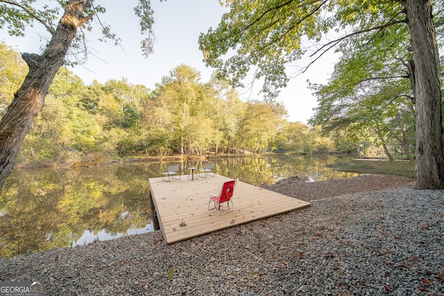 view of yard with a water view and a boat dock