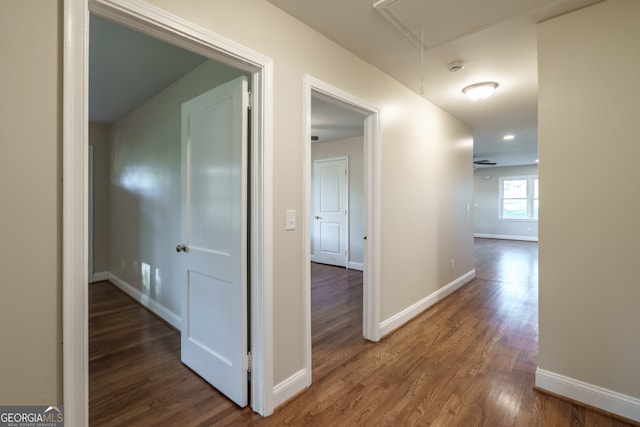 corridor featuring dark wood-type flooring