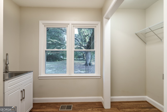 interior space with dark hardwood / wood-style flooring and sink