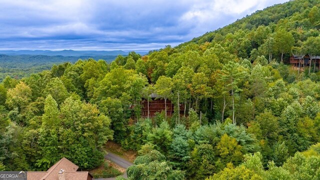 birds eye view of property featuring a mountain view