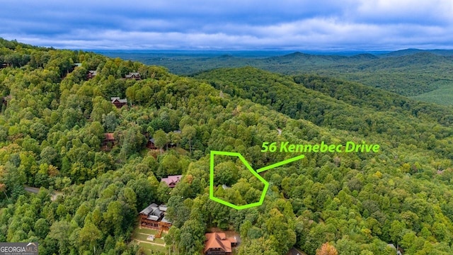 aerial view with a mountain view