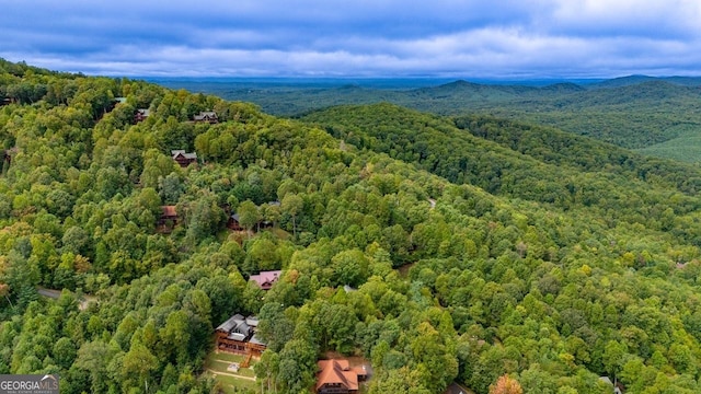 drone / aerial view with a mountain view