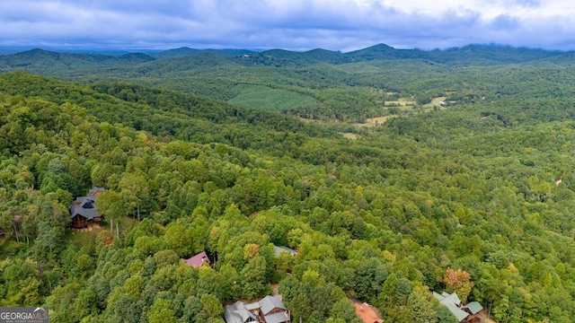 aerial view with a mountain view