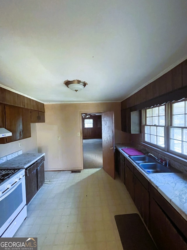 kitchen with white range with gas cooktop, sink, ventilation hood, crown molding, and dark brown cabinets