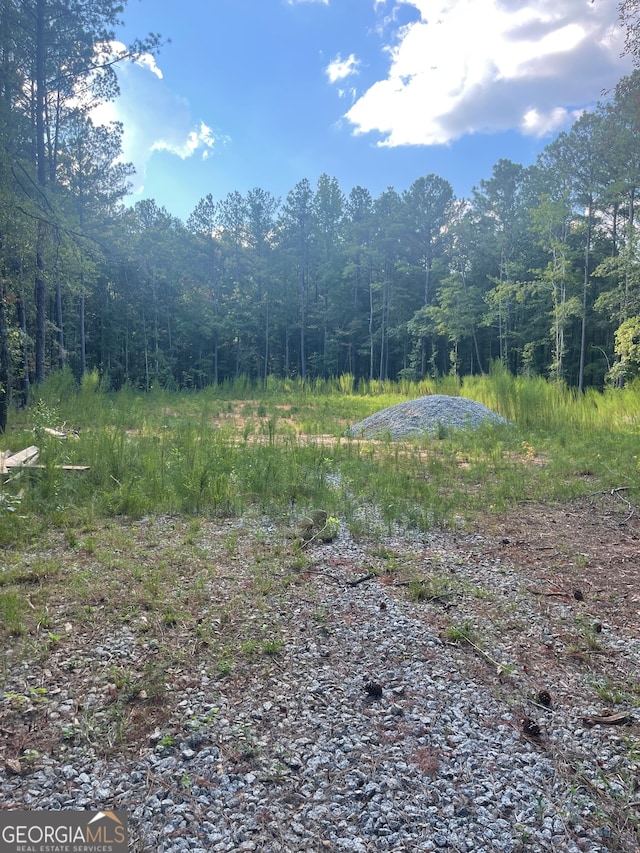 LOT3 Cecil Hunter Rd, Moreland GA, 30259 land for sale