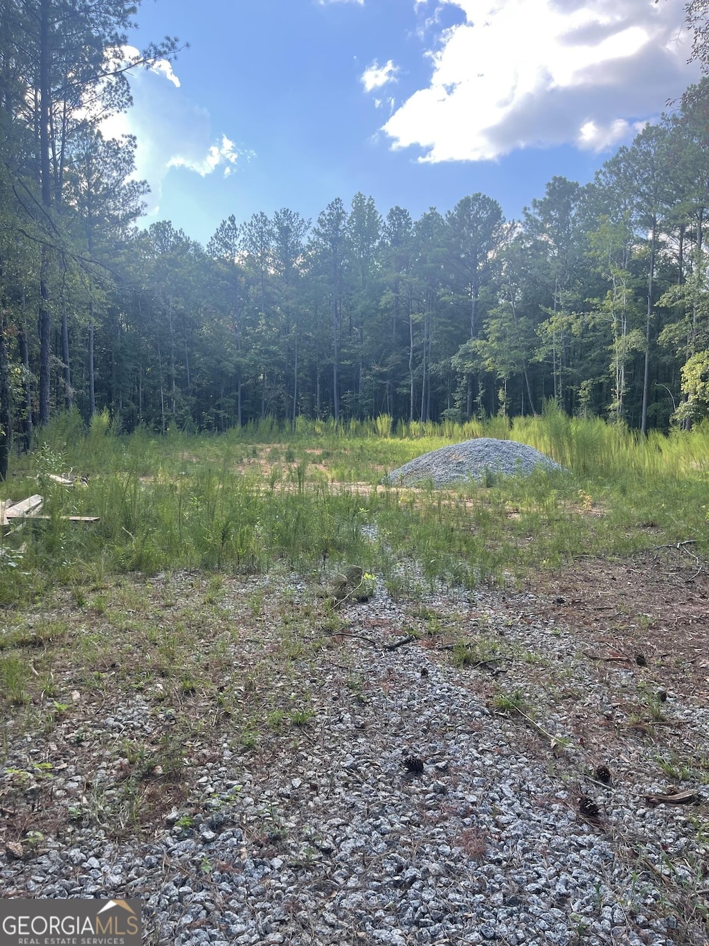 LOT3 Cecil Hunter Rd, Moreland, GA 30259