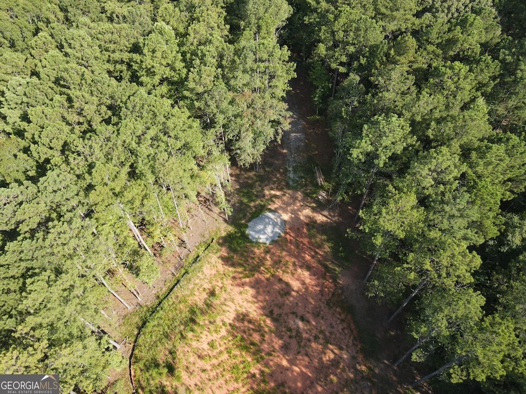 LOT3 Cecil Hunter Rd, Moreland, GA 30259