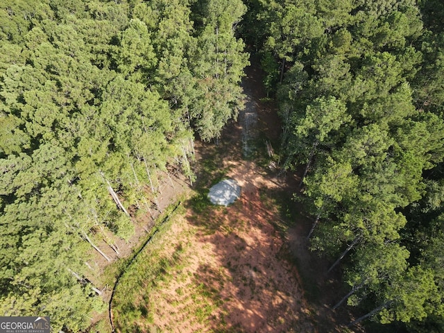 LOT3 Cecil Hunter Rd, Moreland, GA 30259