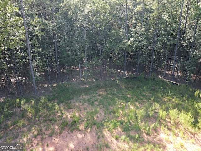 Listing photo 3 for LOT3 Cecil Hunter Rd, Moreland GA 30259