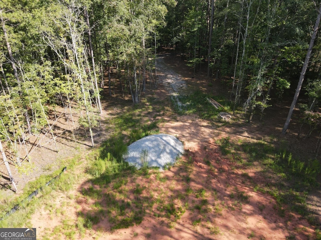 LOT3 Cecil Hunter Rd, Moreland, GA 30259