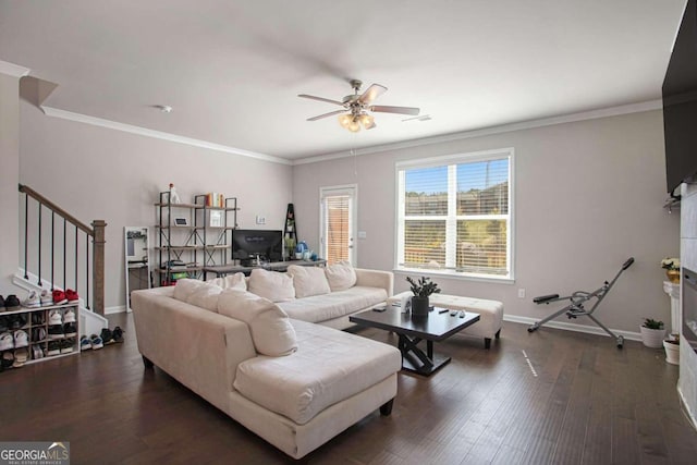 living room with ornamental molding, dark hardwood / wood-style flooring, and ceiling fan