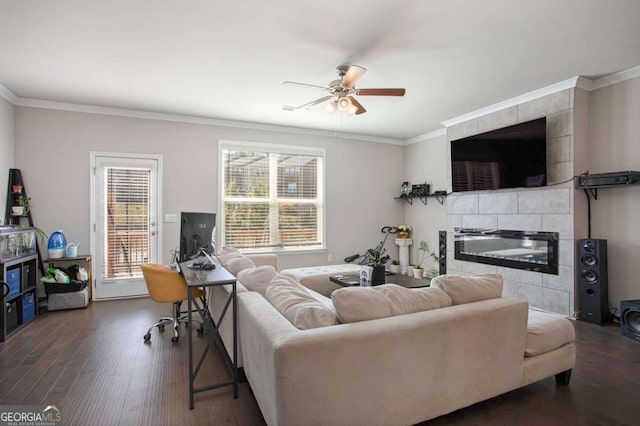 living room featuring ceiling fan, a fireplace, crown molding, and dark wood-type flooring