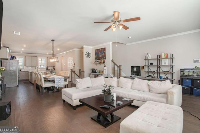 living room with ceiling fan, ornamental molding, and dark wood-type flooring