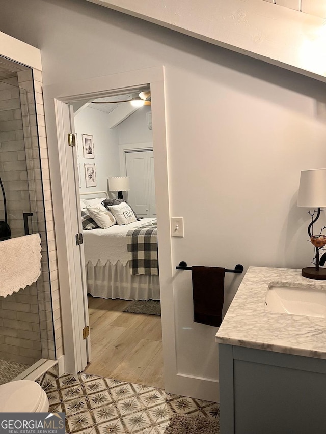 bathroom featuring hardwood / wood-style flooring, vanity, toilet, and an enclosed shower