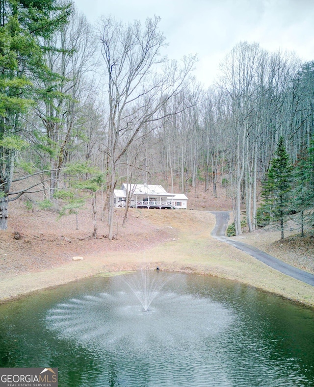 view of water feature