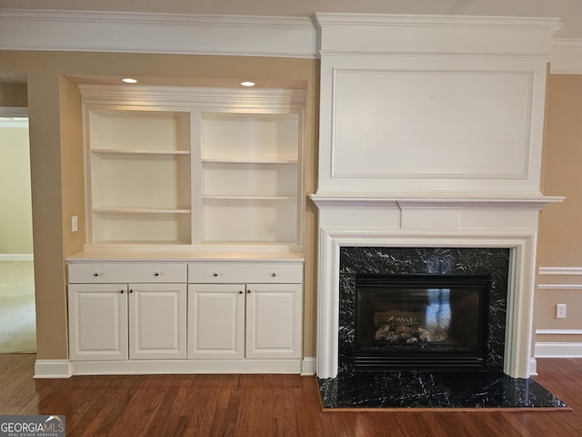 5911 Chimney Rock Dr, Hoschton, GA 30548 - room details featuring crown molding, a premium fireplace, baseboards, and wood finished floors