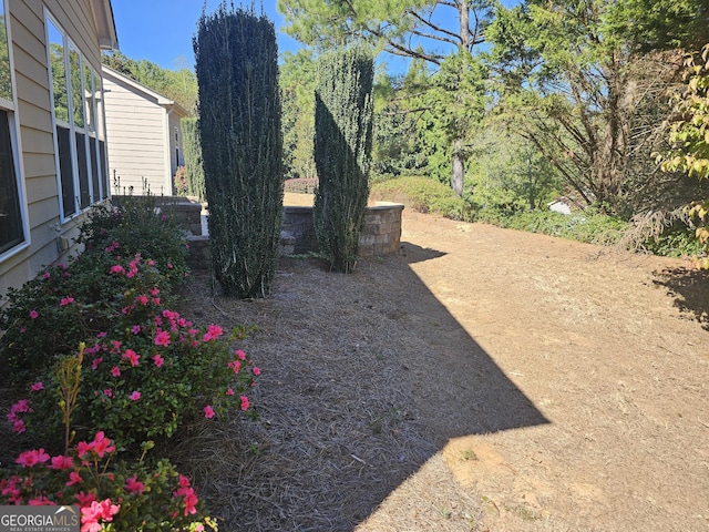 5911 Chimney Rock Dr, Hoschton, GA 30548 - view of yard