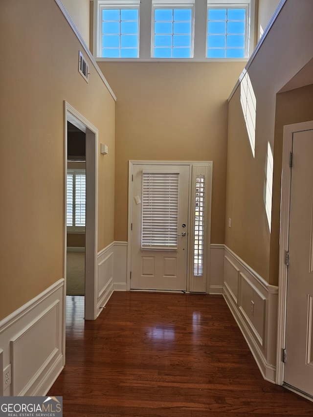 foyer entrance featuring a towering ceiling and dark hardwood / wood-style floors