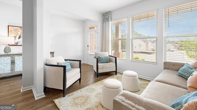 sitting room featuring plenty of natural light and dark hardwood / wood-style flooring