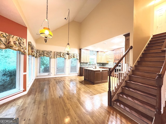 interior space featuring high vaulted ceiling and light hardwood / wood-style floors