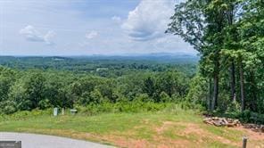 25 Long Mountain Trl, Cleveland GA, 30528 land for sale