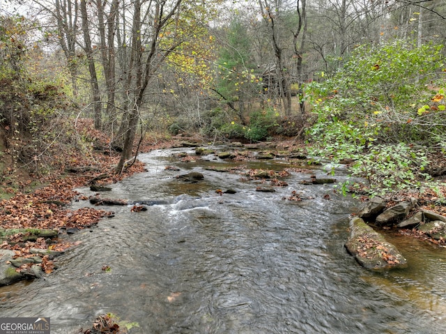 view of local wilderness