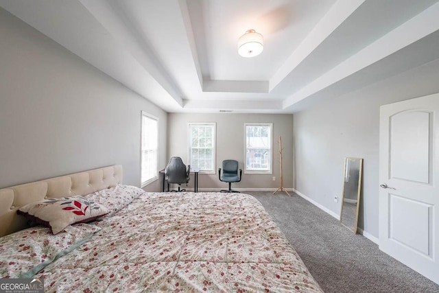 bedroom featuring carpet floors and a raised ceiling