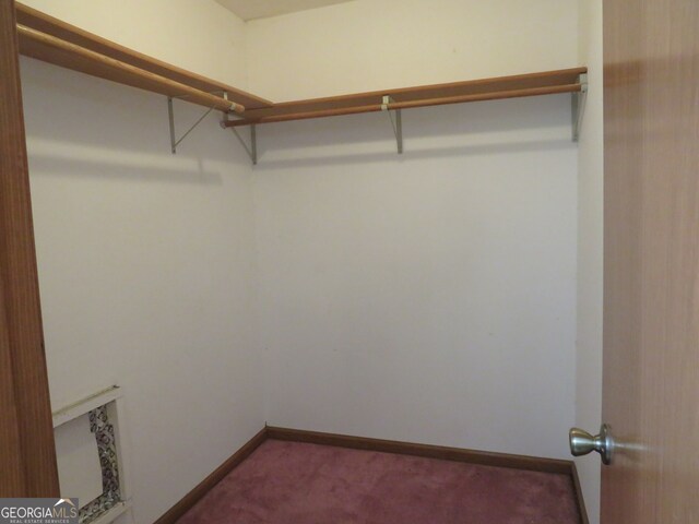 walk in closet with carpet