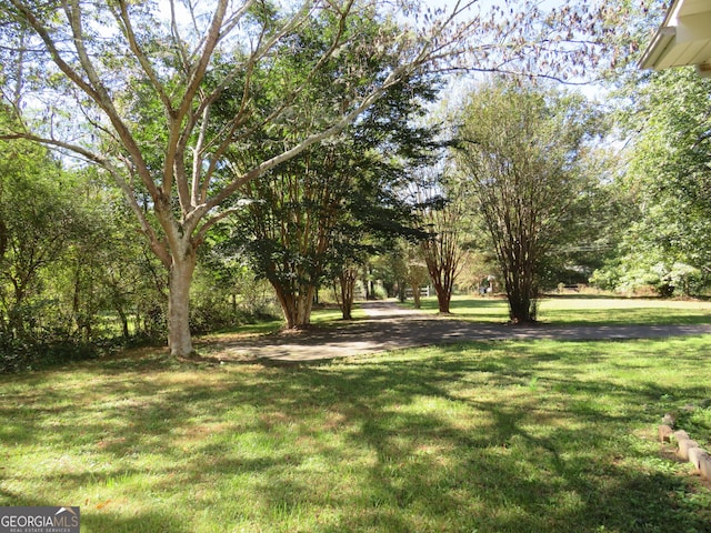 402 Thurman Rd, Stockbridge, GA 30281 - view of green lawn
