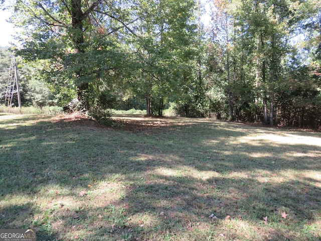 402 Thurman Rd, Stockbridge, GA 30281 - view of green lawn
