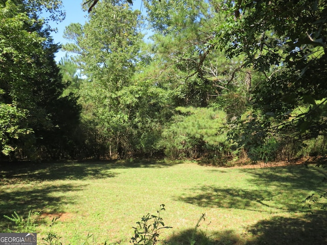 402 Thurman Rd, Stockbridge, GA 30281 - view of grassy yard with a forest view