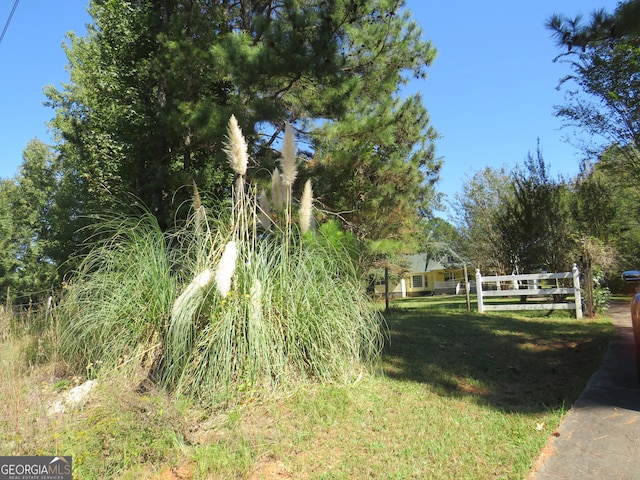 402 Thurman Rd, Stockbridge, GA 30281 - view of yard
