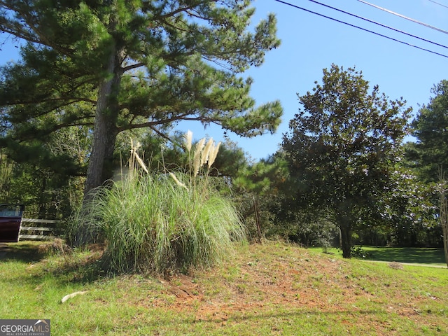 402 Thurman Rd, Stockbridge, GA 30281 - view of yard