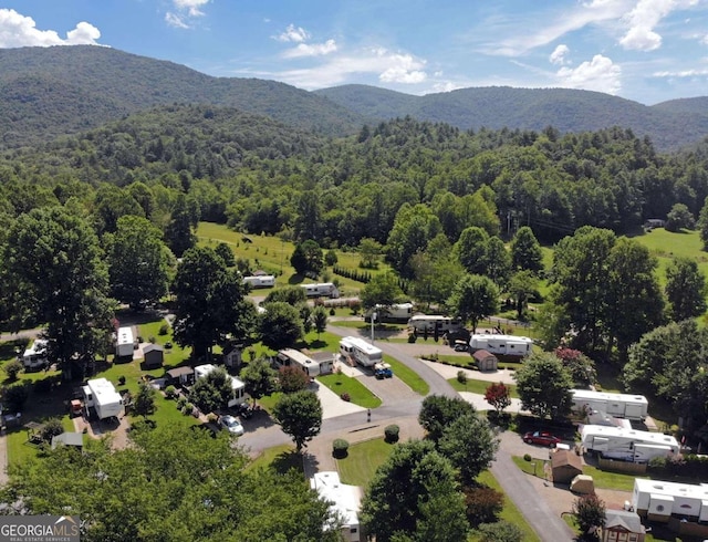 birds eye view of property featuring a mountain view