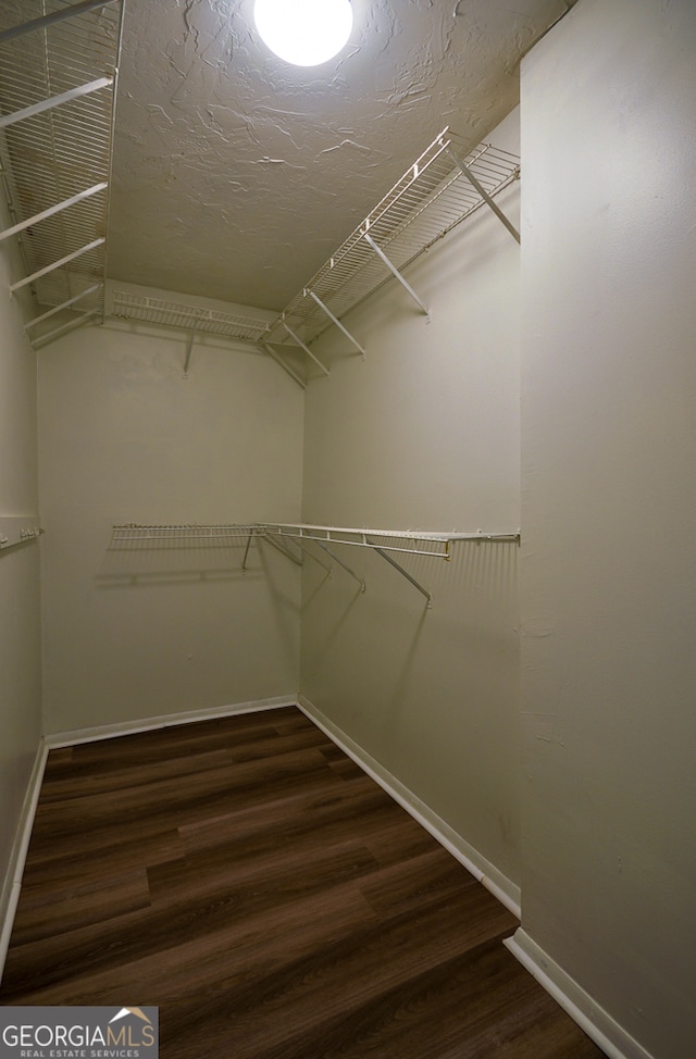 walk in closet with dark hardwood / wood-style floors