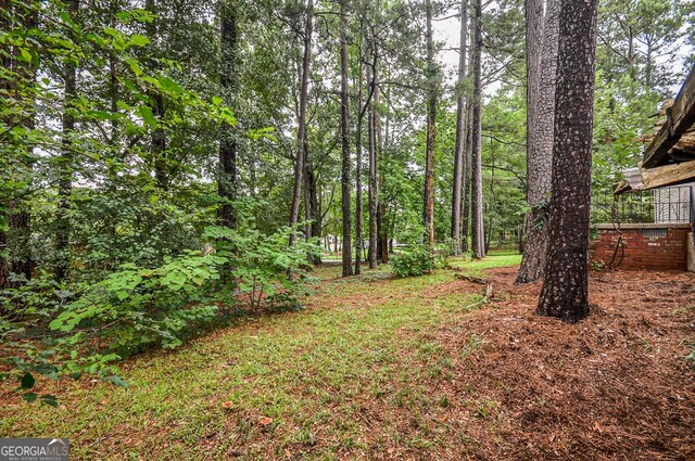 view of local wilderness