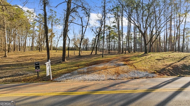 113 Hickory Flat Rd, Canton GA, 30115 land for sale