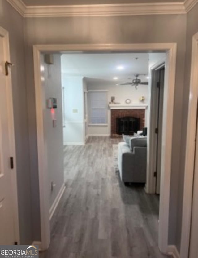 hall featuring ornamental molding and wood-type flooring