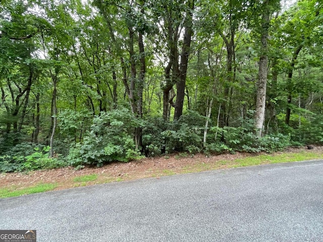 LT7A Lancelot Loop Unit 7A, Clayton GA, 30525 land for sale