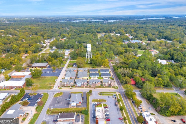 bird's eye view