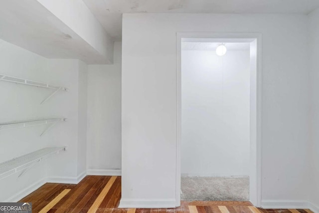 spacious closet with wood-type flooring